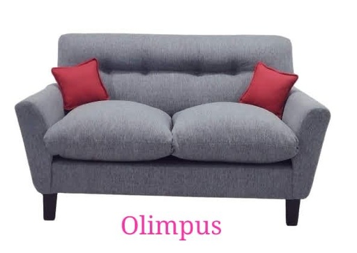 [900000198] Sofá Olimpus 2 Cpos 1,40X0,80 Mts Gris Plata Ptas Madera